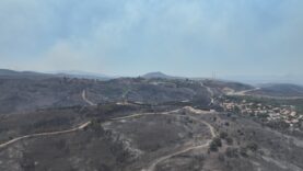 Seferihisar ve Menderes yangınlarının bilançosu ağır