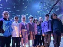 İzmir Maarif Mektebi ile Funtastic Akvaryum Keşif Atölyesi